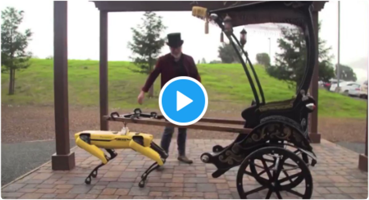 सड़क पर रिक्शा खींचता दिखा रोबोट, विडियो देख लोग बोले- 'भविष्य की सवारी...'