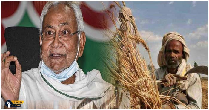 CM नीतीश ने गेहूं बेचने वाले किसान को दिया बड़ी राहत, अब 15 जून तक गेहूं बेच सकेंगे किसान