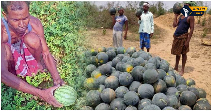 बर्बाद हो रही थी किसान की तरबूज, भारतीय सेना ने किया कुछ ऐसा की किसान का चेहरा खिल उठा