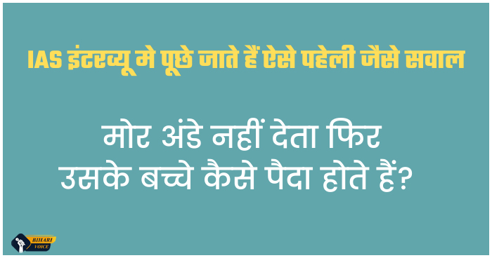 मोर अंडे नहीं देता फिर उसके बच्चे कैसे पैदा होते हैं? IAS इंटरव्यू मे पूछे जाते हैं ऐसे पहेली जैसे सवाल