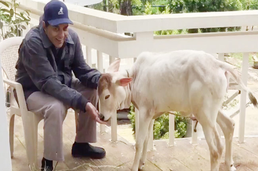 लोनावला के फार्महाउस में इन दिनों अपना जीवन बीता रहे धर्मेंद्र, करोड़ों के इस आलीशान घर की देखिये तस्वीरें 