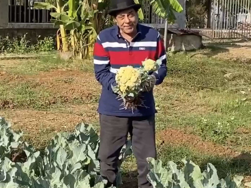 लोनावला के फार्महाउस में इन दिनों अपना जीवन बीता रहे धर्मेंद्र, करोड़ों के इस आलीशान घर की देखिये तस्वीरें 