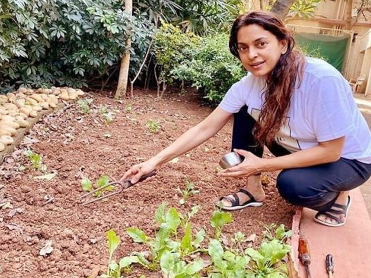 जूही चावला