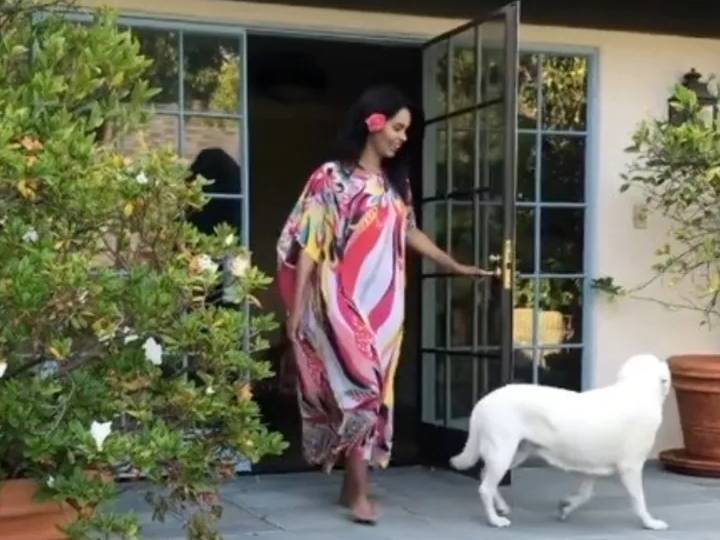 एक्ट्रेस मल्लिका शेरावत