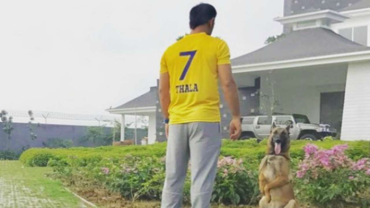 Mahendra singh dhoni