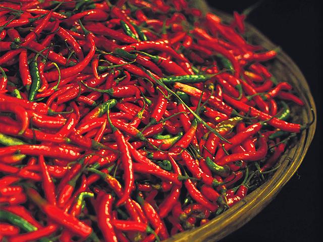 Chilli