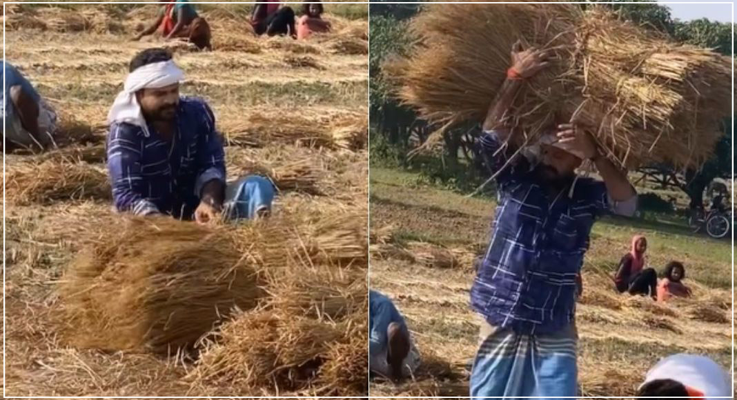 धान का बोझा ढ़ोते नजर आए रितेश पांडे