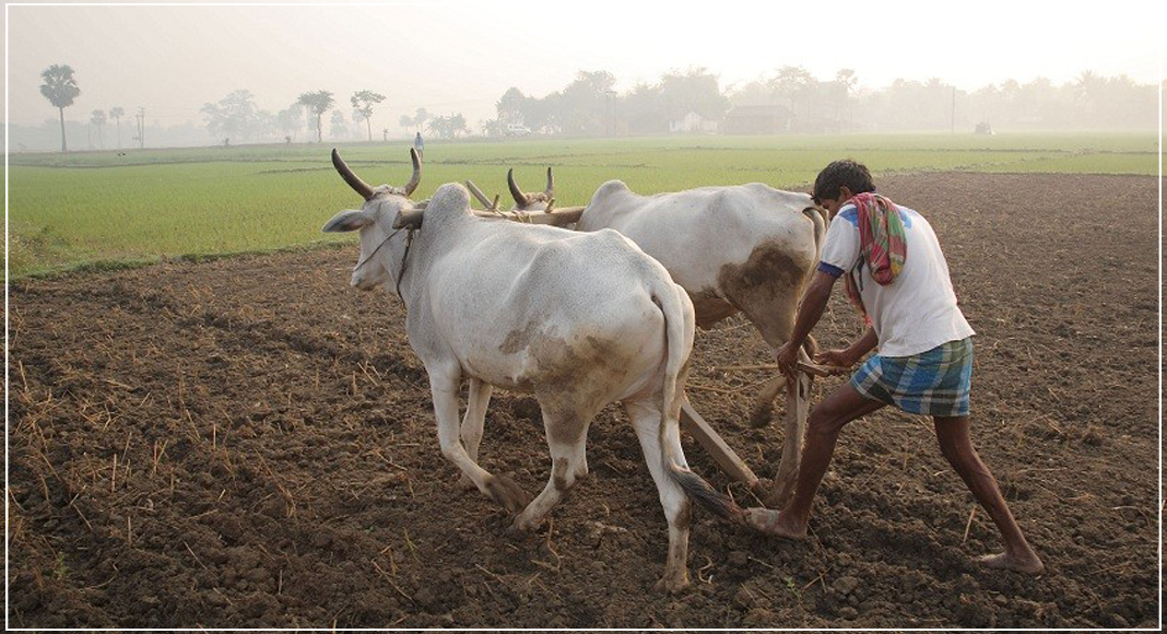 पशु किसान क्रेडिट कार्ड