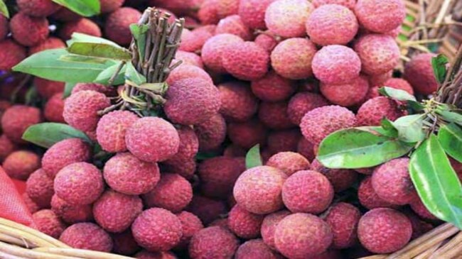 मखाना और लीची के फूड पार्क