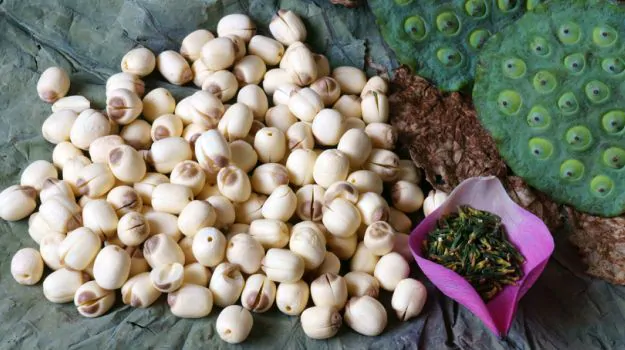 मखाना और लीची के फूड पार्क