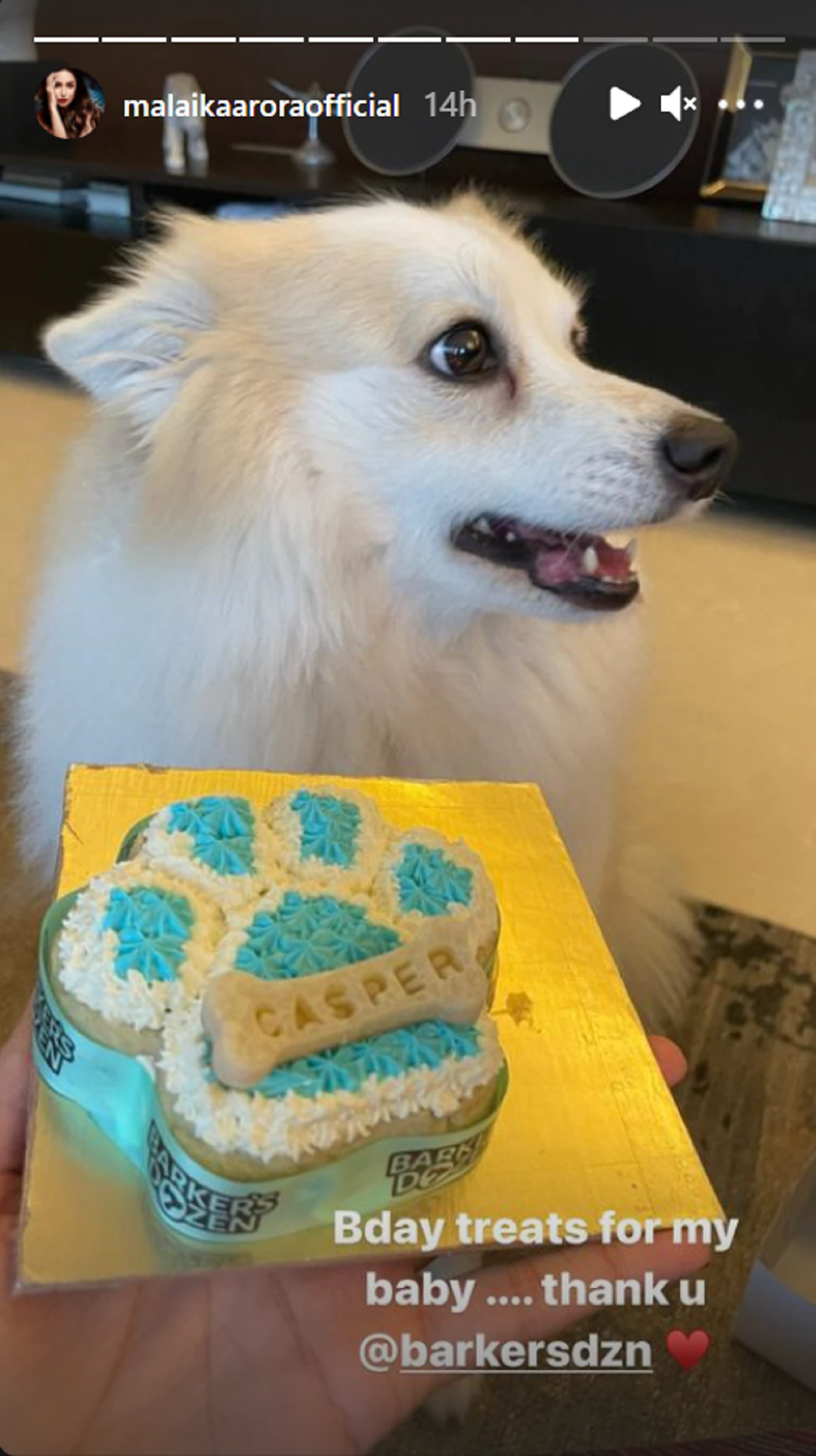 Malaika Arora Dog Birthday