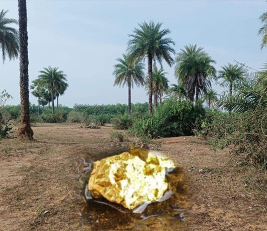जमुई मे सोना का खदान