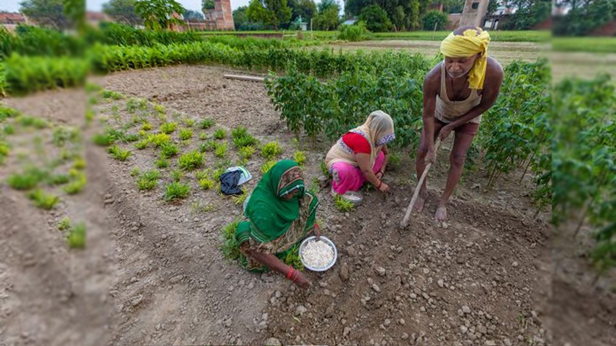 बिहार सरकार देगी किसानों को 9 लाख का अनुदान