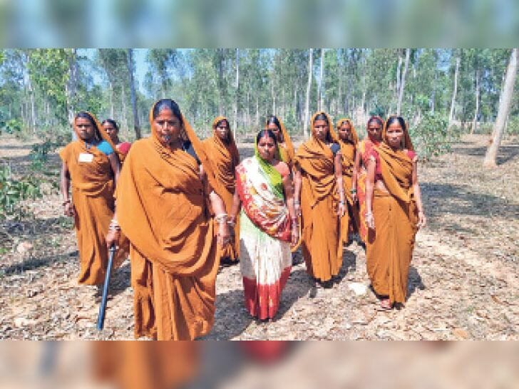 Bihar Tree Women Chinta Devi