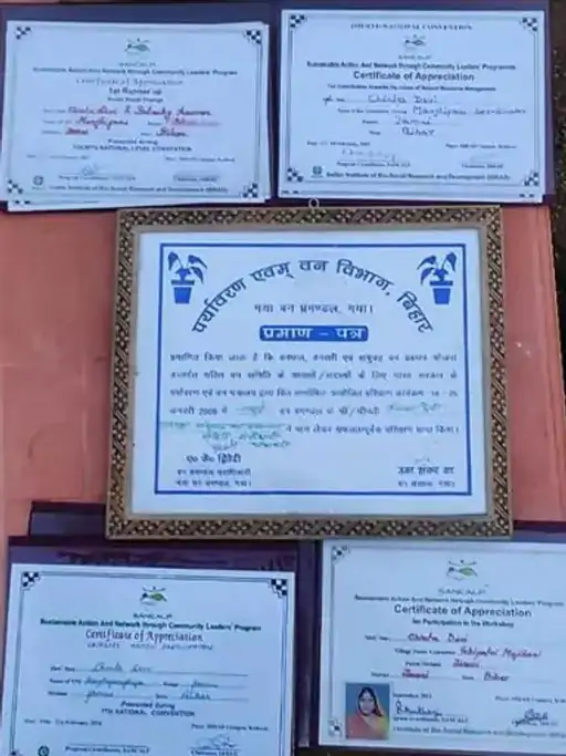 Bihar Tree Women Chinta Devi