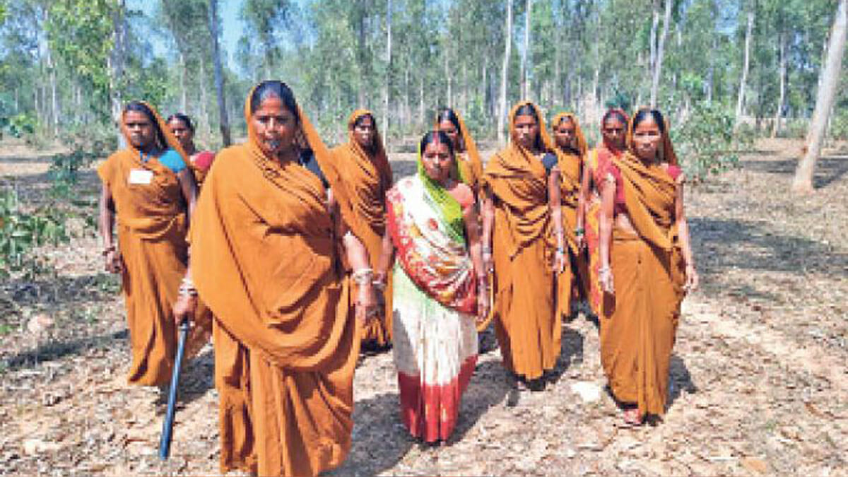 Bihar Tree Women Chinta Devi