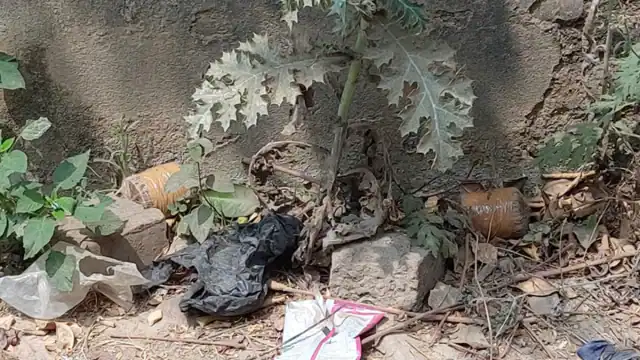 Bhagalpur Four Live Bombs Found
