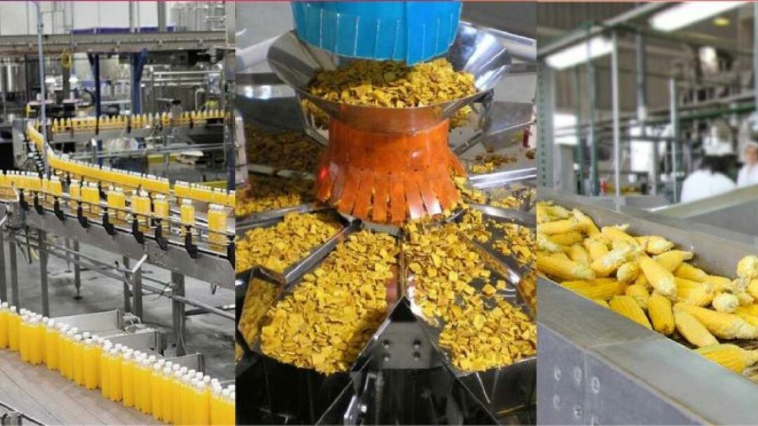 Bihar Government Build Food Park