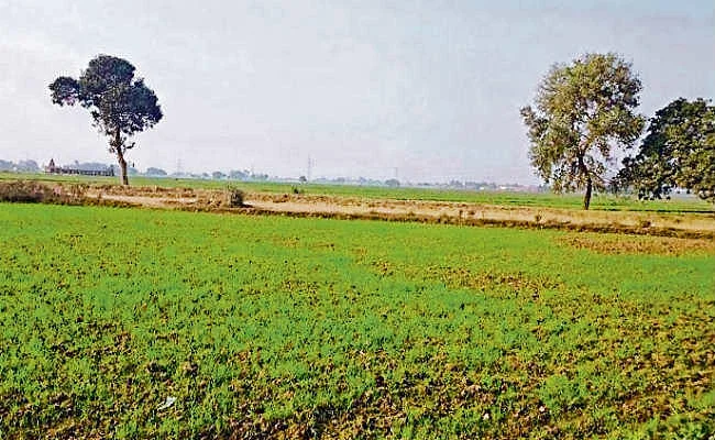 Bihar Government Land Survey