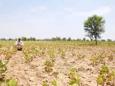 Bihar Government Land Survey