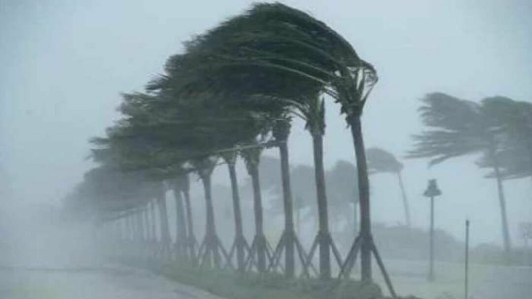 Bihar Weather Update