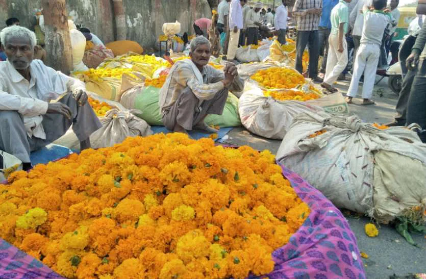 Demand for flowers increased in Bihar