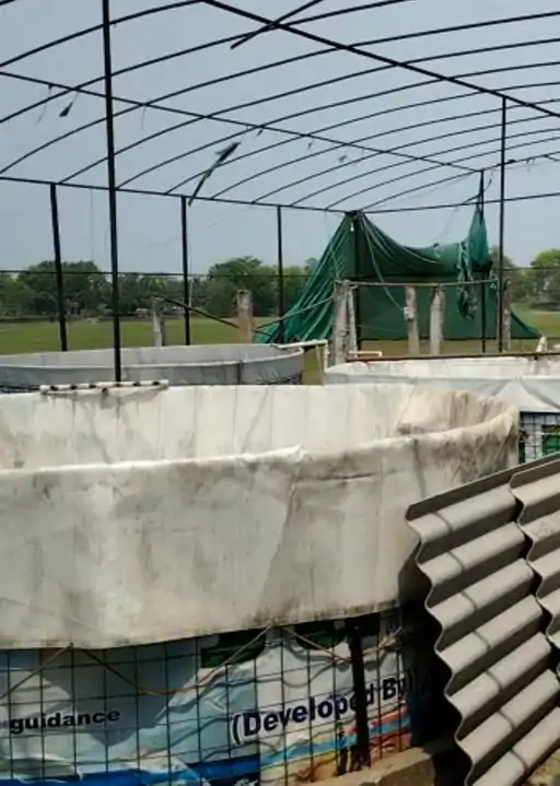 Fish Farmer Ranjit Kumar Farming Area