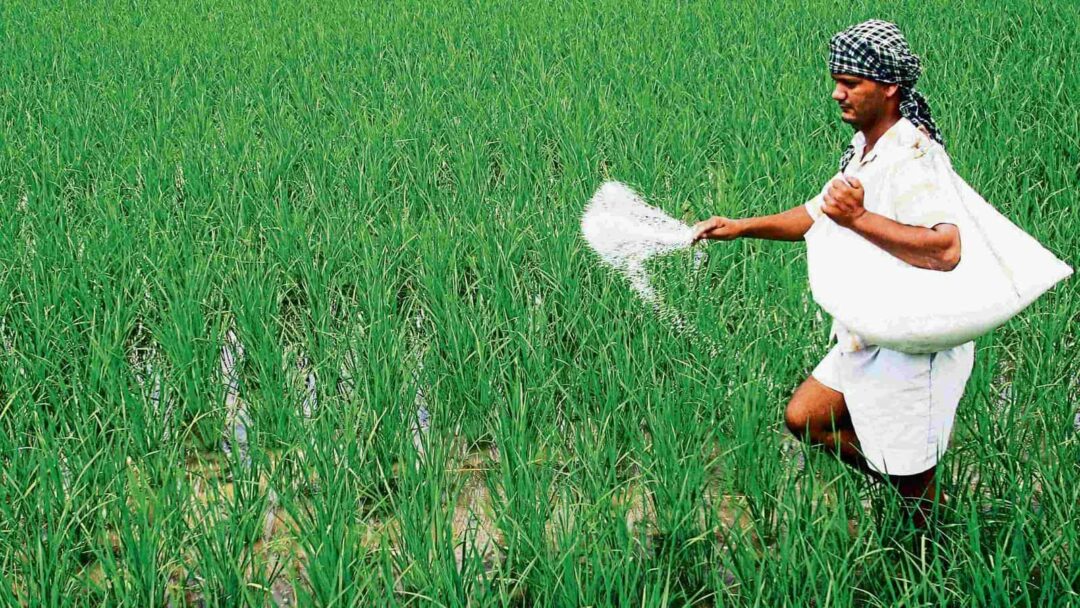 PM Kisan Fertilizer Subsidy3