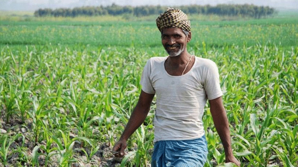 PM Kisan Fertilizer Subsidy