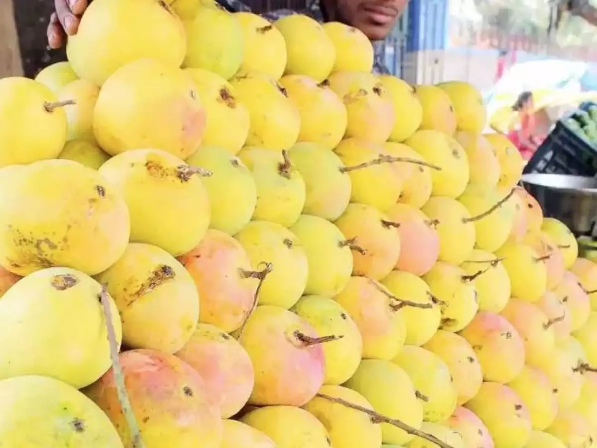 Patna Mangoes Supply