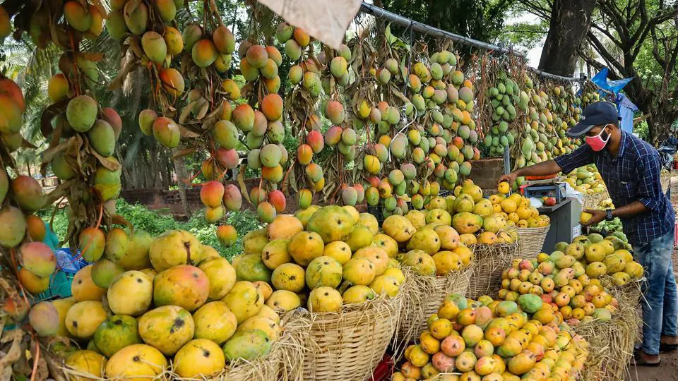 Patna Mangoes Supply