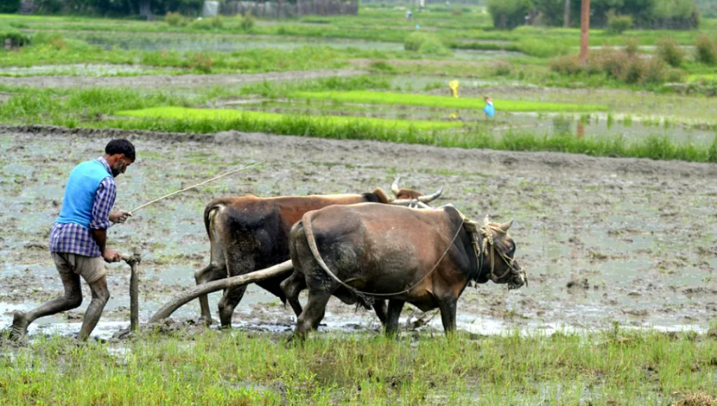 Kisan credit card