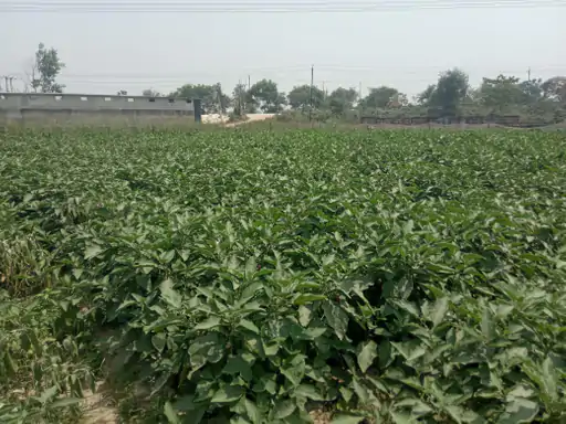 Success Story Of Bihar Farmer Santosh