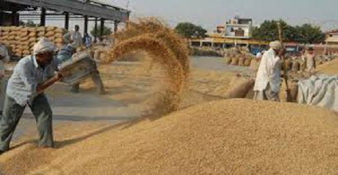 Wheat Procurement In Bihar