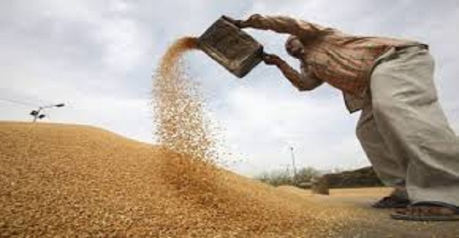 Wheat Procurement on MSP