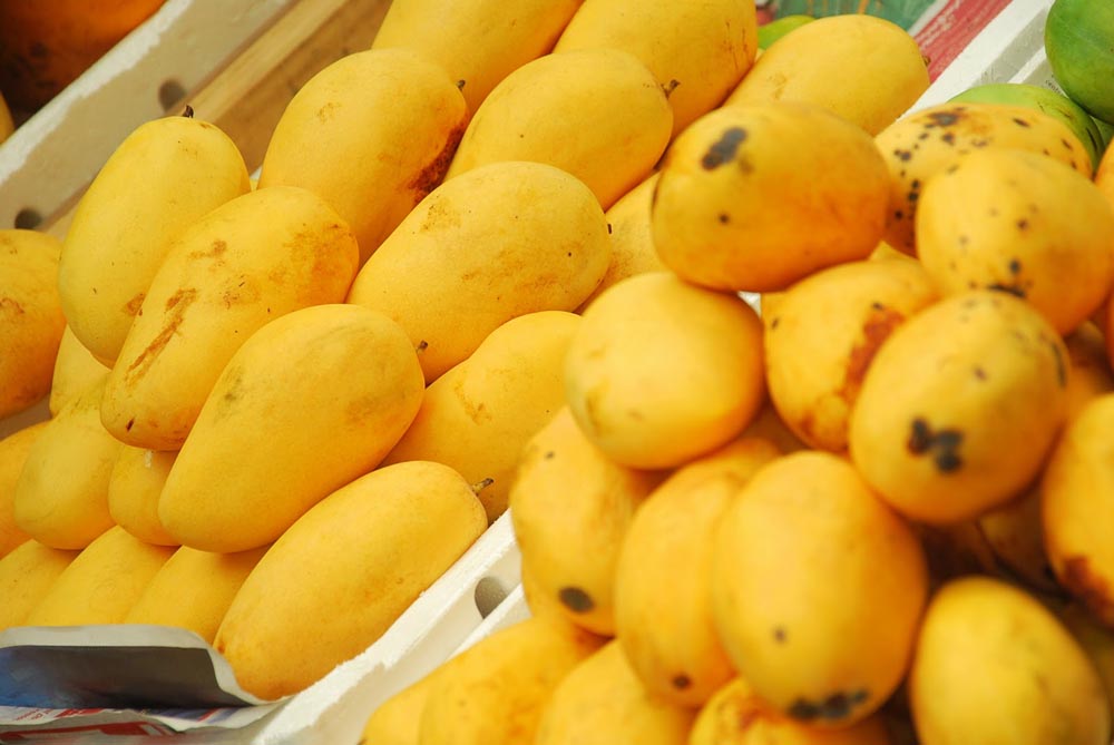 Jardalu Mango of Bihar
