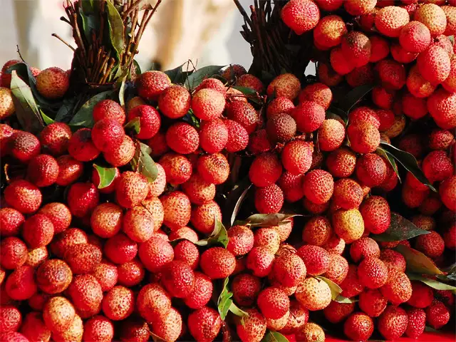 Muzaffarpur Shahi Litchi