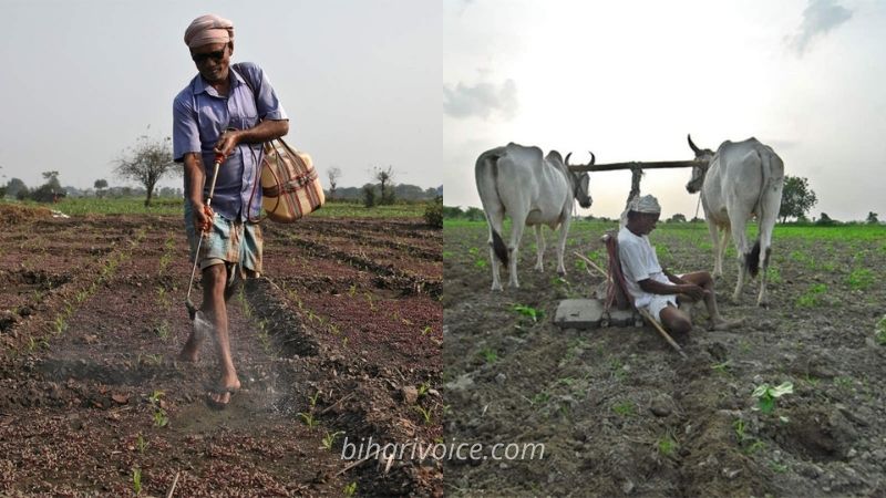 bihar farmers income