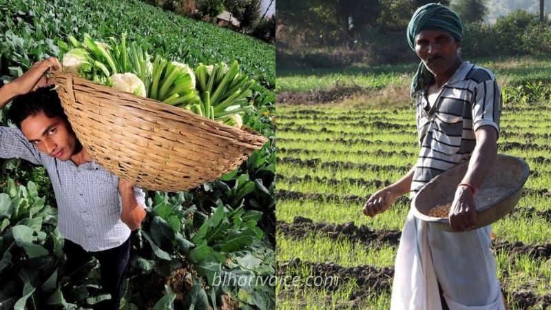 bihar farmers income
