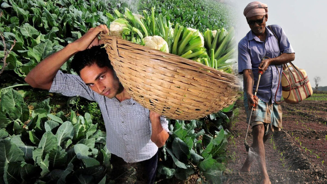 Farmers of Bihar