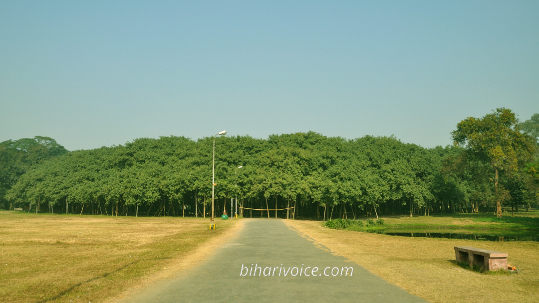 World Largest Banyan Tree