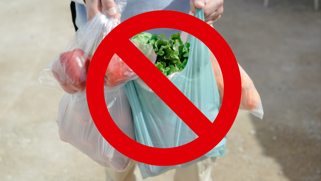 single use plastic ban news