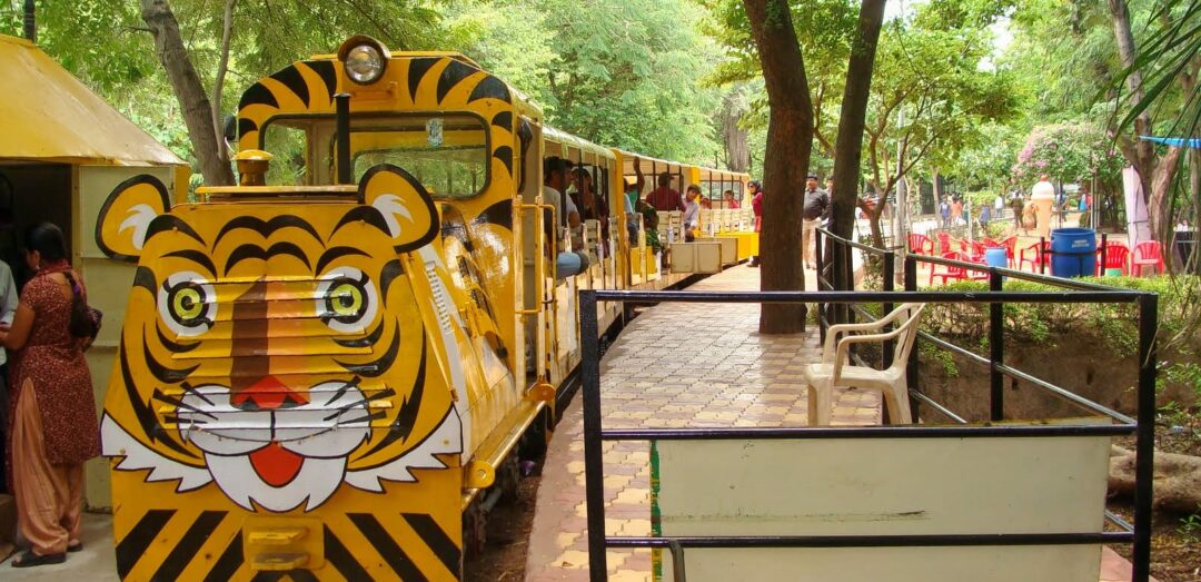 patna zoo train 