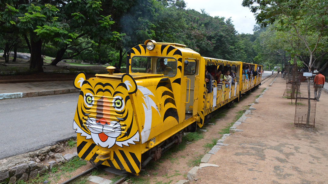 Patna Zoo toy train