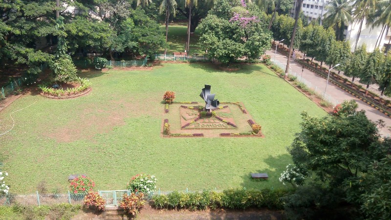 iit jee advanced rank admission