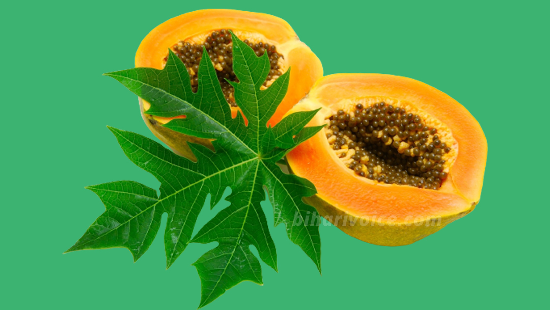 Papaya Side Effects For Health