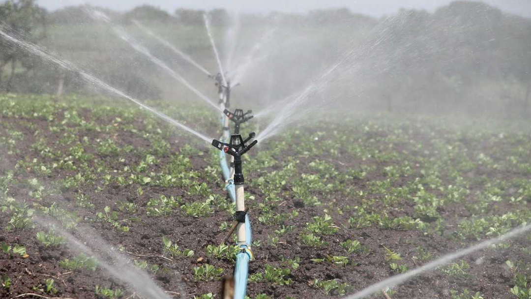 Bihar Government Agriculture Scheme