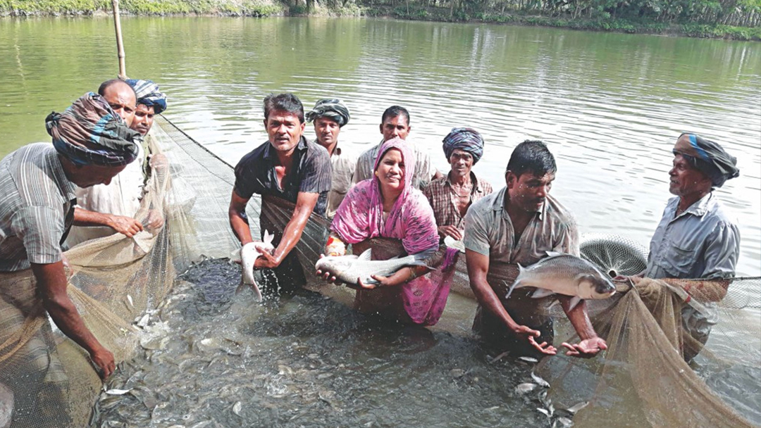 Fish Farming Subsidy