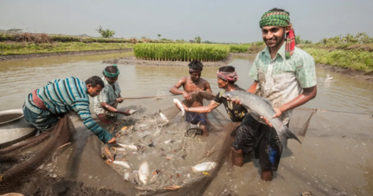  Fish Farming Subsidy By Bihar Government
