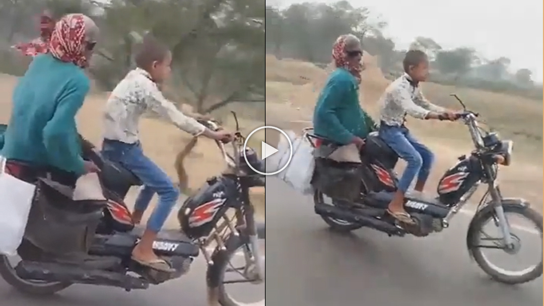dadi-pota stunt video viral